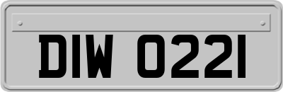 DIW0221