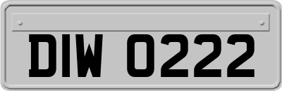 DIW0222