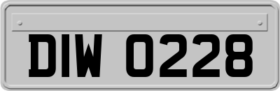 DIW0228