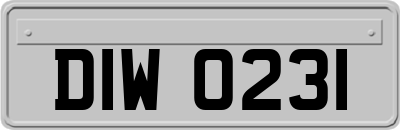 DIW0231