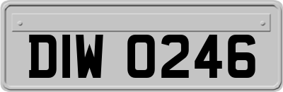 DIW0246
