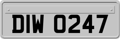 DIW0247