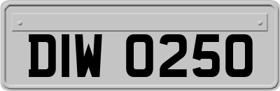 DIW0250