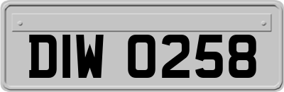 DIW0258