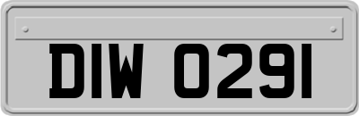 DIW0291
