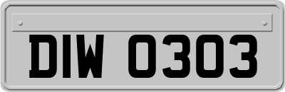 DIW0303