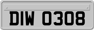DIW0308
