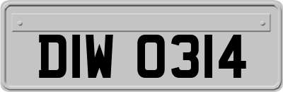 DIW0314