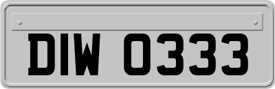 DIW0333