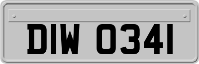 DIW0341