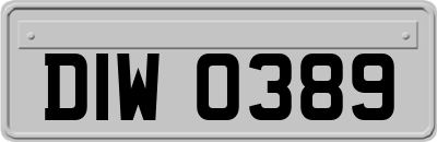 DIW0389