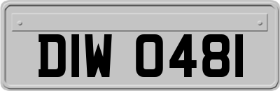 DIW0481