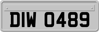 DIW0489