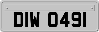DIW0491