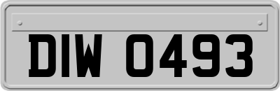 DIW0493