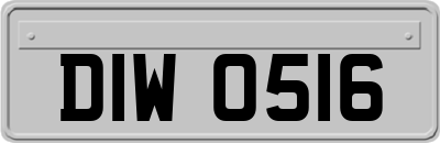 DIW0516