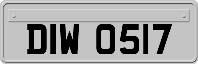 DIW0517