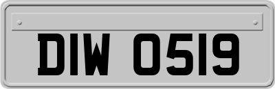 DIW0519