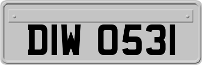 DIW0531