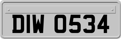 DIW0534