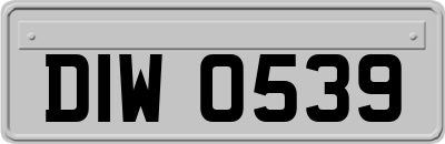 DIW0539