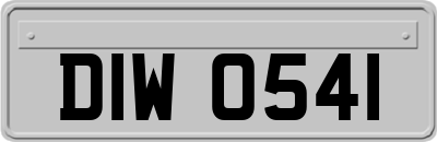 DIW0541
