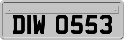 DIW0553
