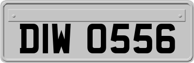 DIW0556