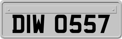 DIW0557