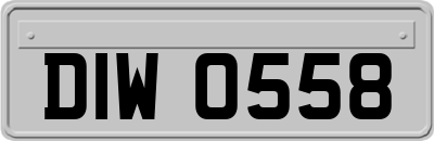 DIW0558