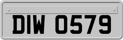DIW0579