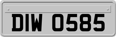DIW0585