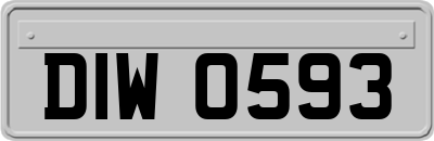 DIW0593
