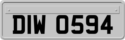 DIW0594