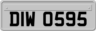 DIW0595