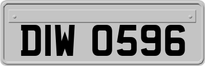 DIW0596