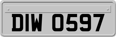 DIW0597