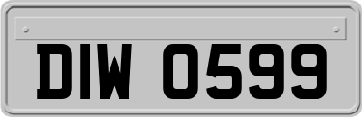 DIW0599