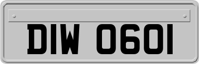 DIW0601