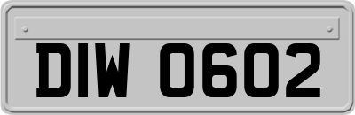 DIW0602