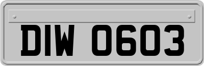 DIW0603