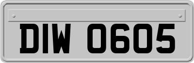 DIW0605