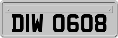 DIW0608