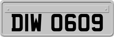 DIW0609