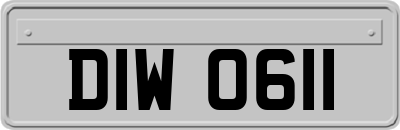 DIW0611