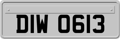 DIW0613