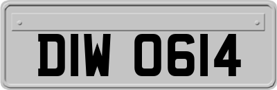 DIW0614