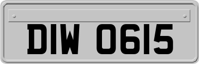 DIW0615