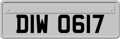 DIW0617
