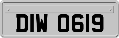 DIW0619